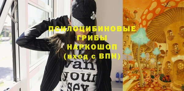 PSILOCYBIN Алексеевка