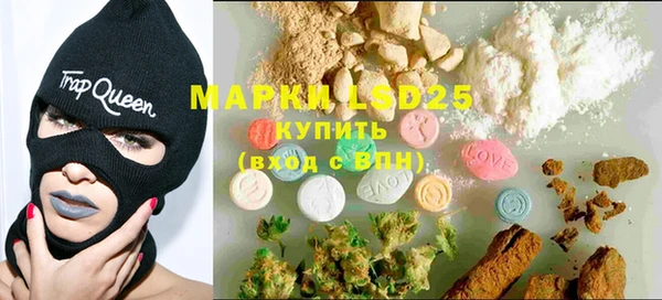 PSILOCYBIN Алексеевка