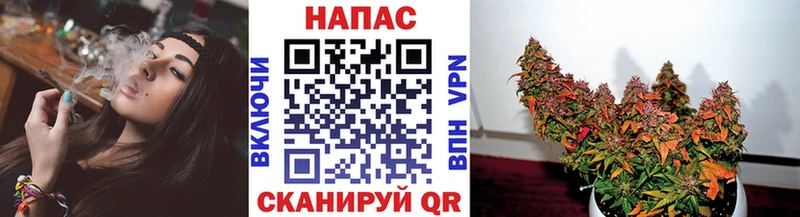 Шишки марихуана Amnesia  Полярные Зори 